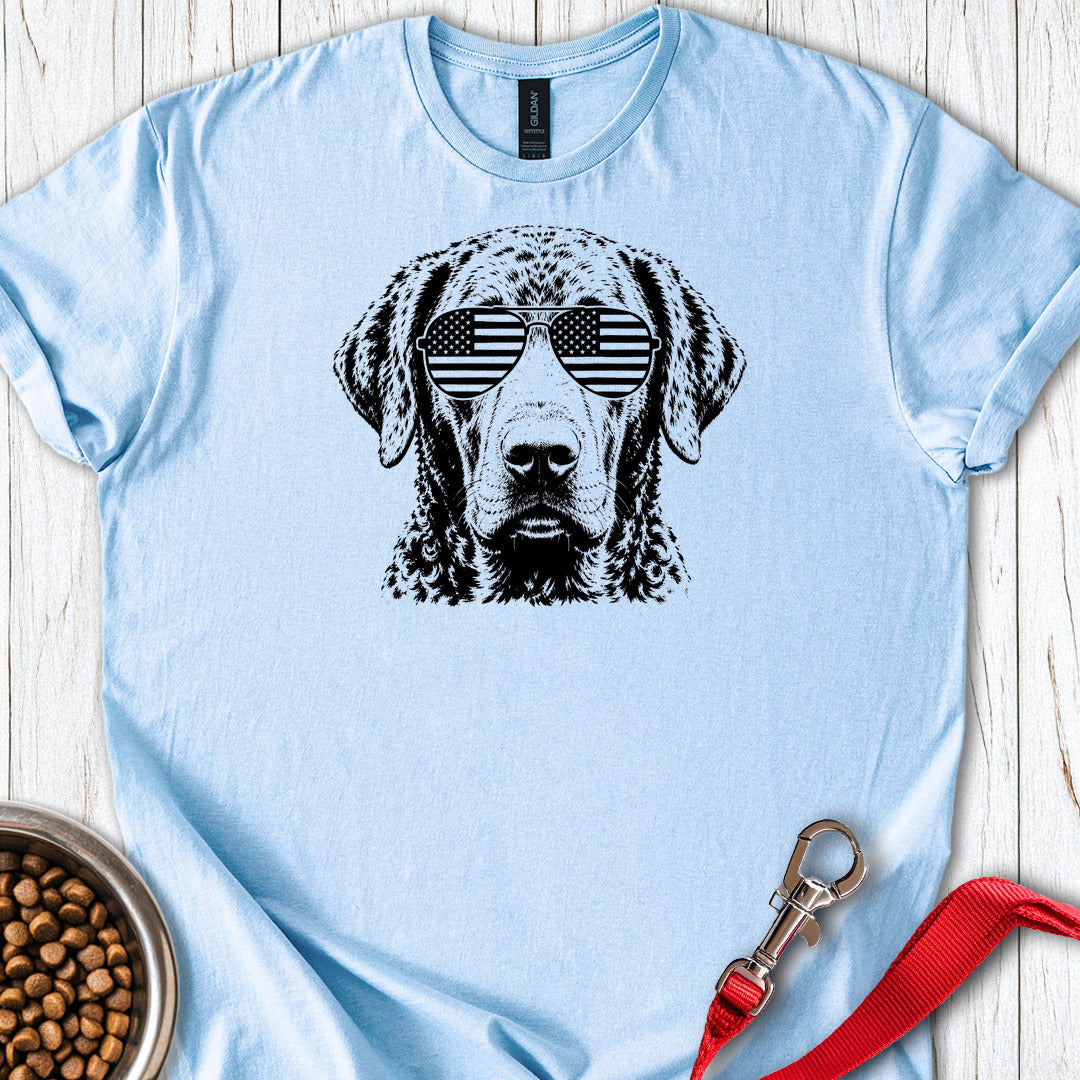 Chesapeake Bay Retriever Flag Shades — Light Blue