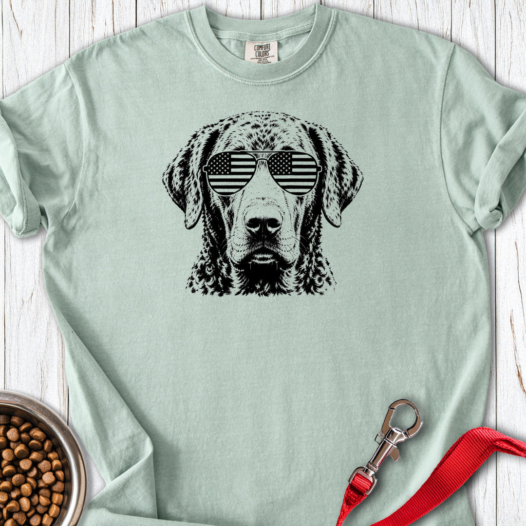 Chesapeake Bay Retriever Flag Shades Premium Tee — Bay