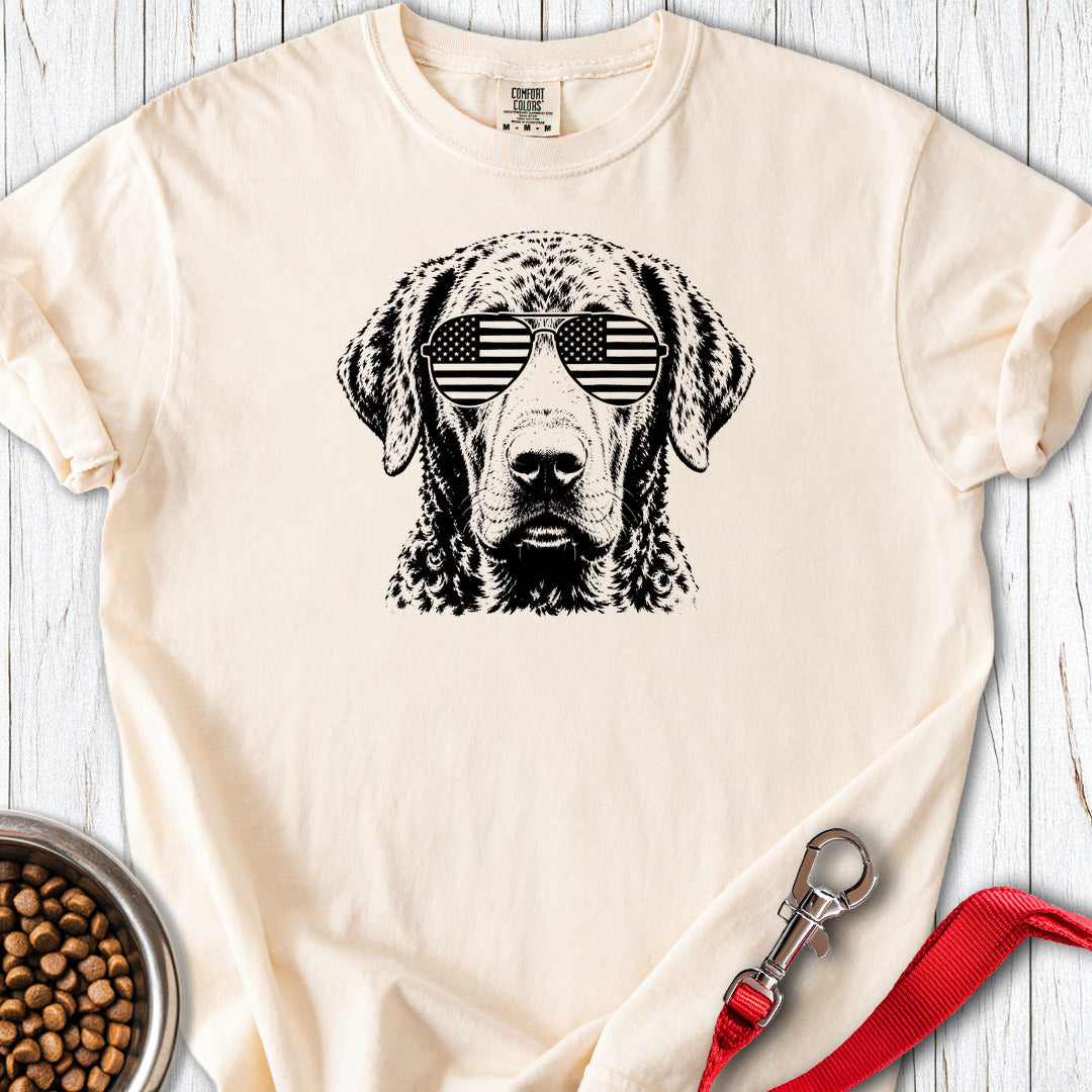 Chesapeake Bay Retriever Flag Shades Premium Tee — Ivory