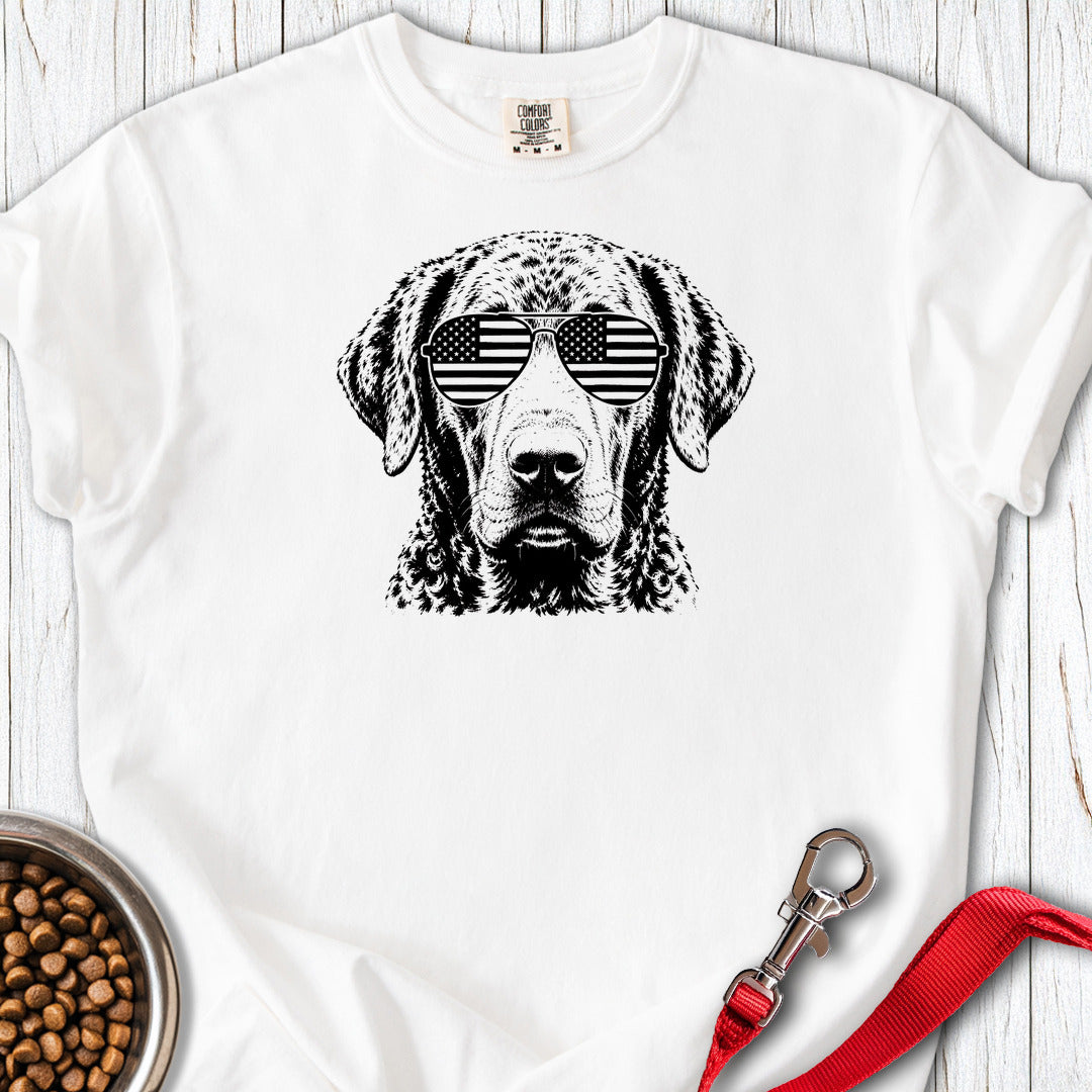 Chesapeake Bay Retriever Flag Shades Premium Tee — White