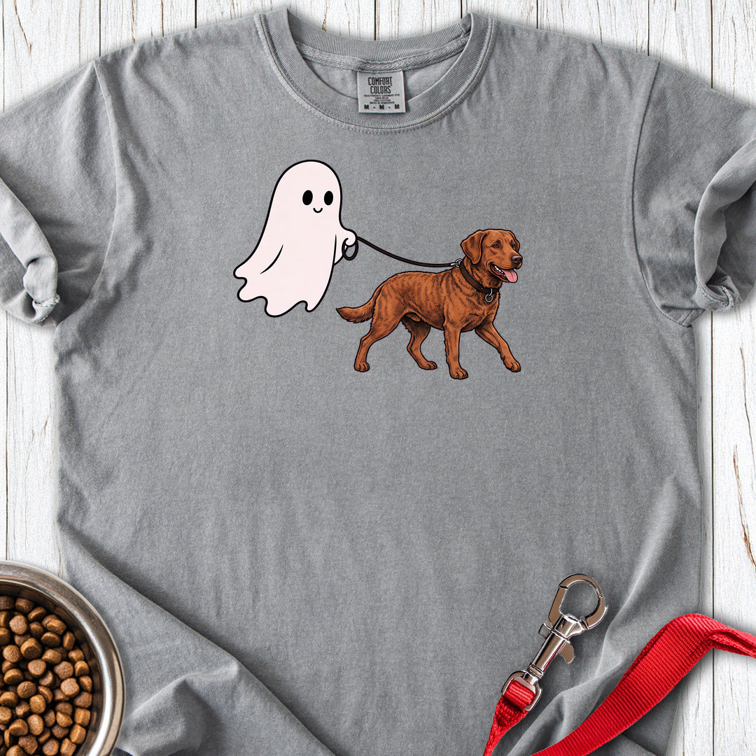 Chesapeake Bay Retriever Ghost Walk Premium Tee — Grey