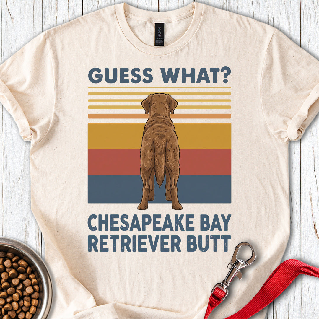 Chesapeake Bay Retriever Guess What — Natural