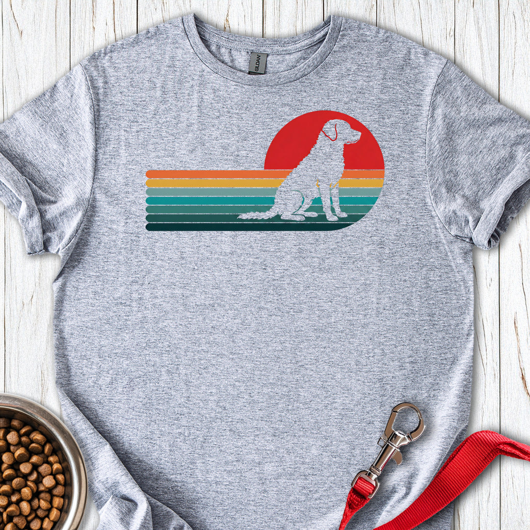 Chesapeake Bay Retriever Retro Sunset — Sport Grey