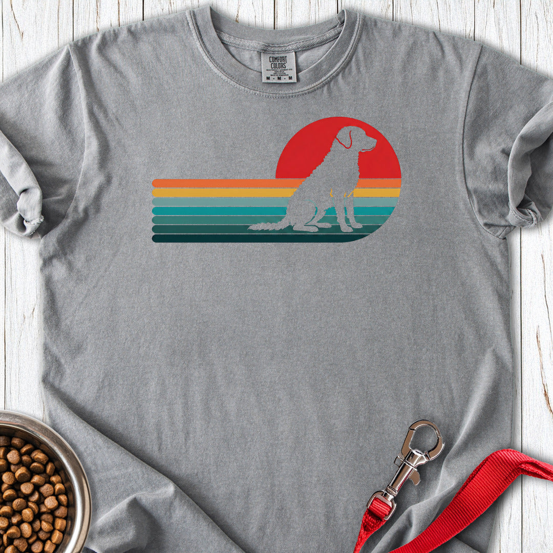 Chesapeake Bay Retriever Retro Sunset Premium Tee — Grey