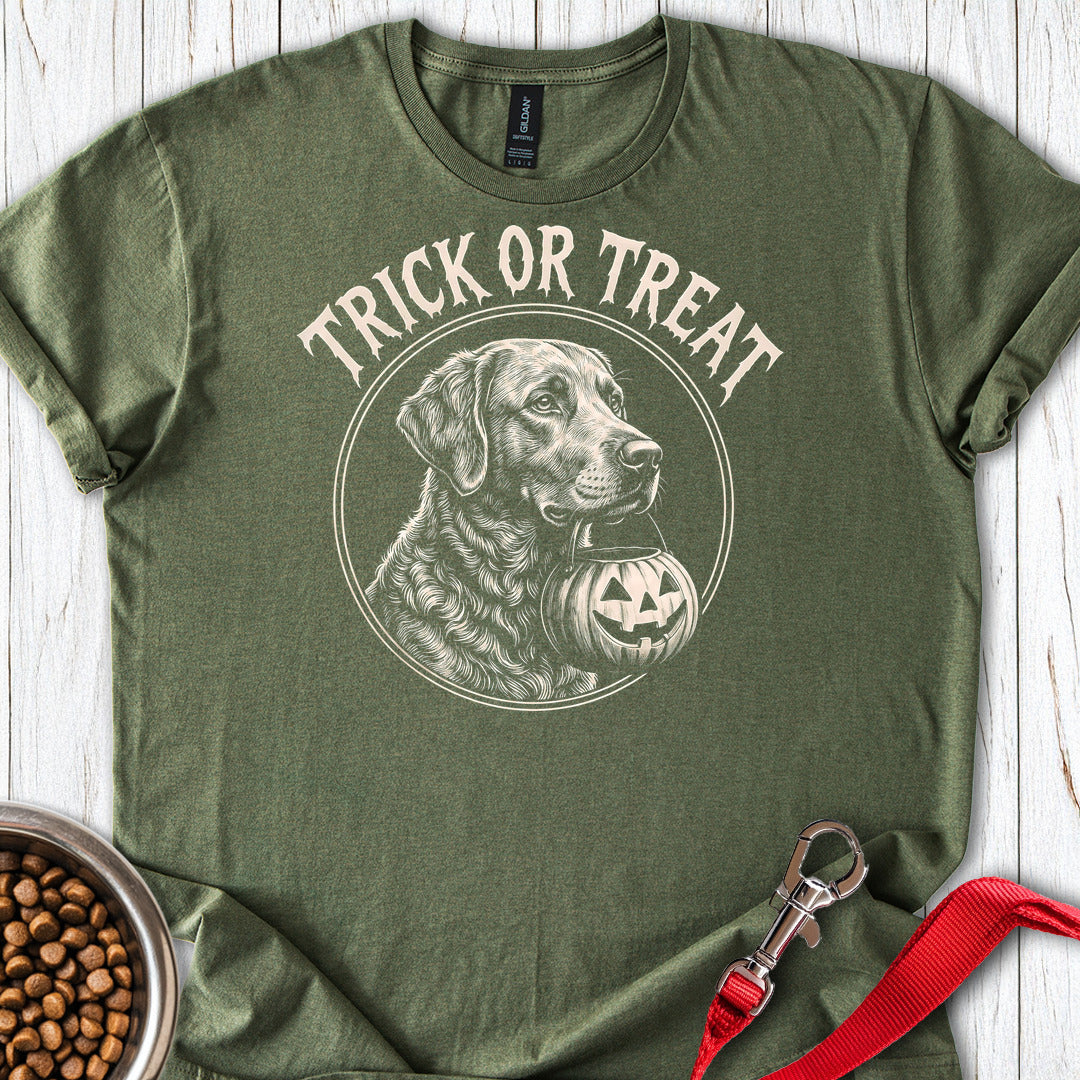 Chesapeake Bay Retriever Trick Or Treat — Military Green