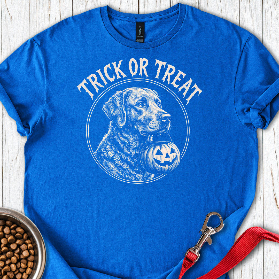 Chesapeake Bay Retriever Trick Or Treat — Royal