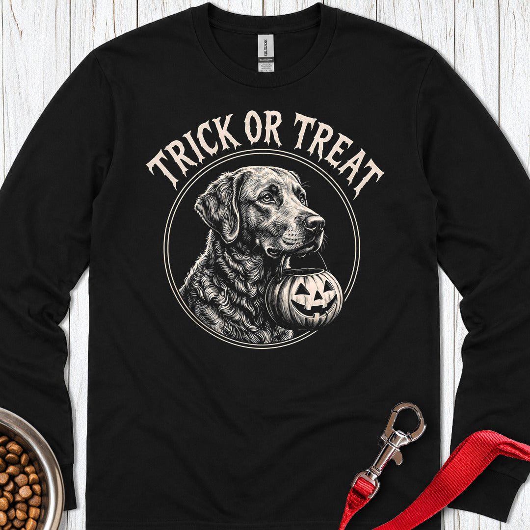 Chesapeake Bay Retriever Trick Or Treat Long Sleeve — Black