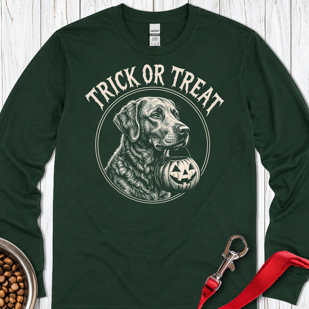 Chesapeake Bay Retriever Trick Or Treat Long Sleeve — Forest Green