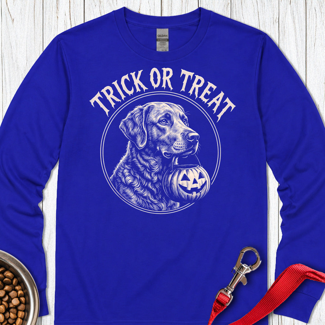 Chesapeake Bay Retriever Trick Or Treat Long Sleeve — Royal