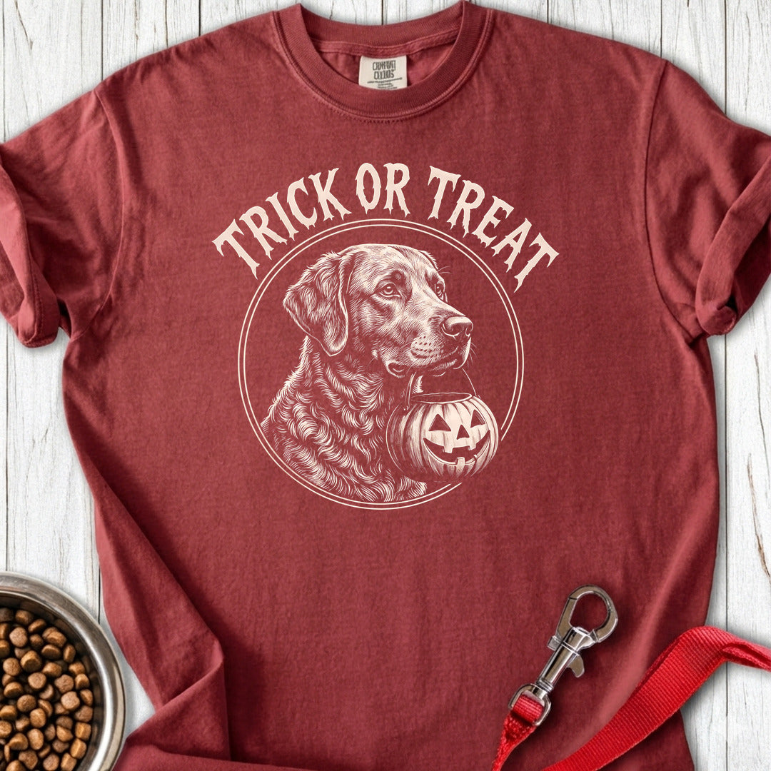 Chesapeake Bay Retriever Trick Or Treat Premium Tee — Brick