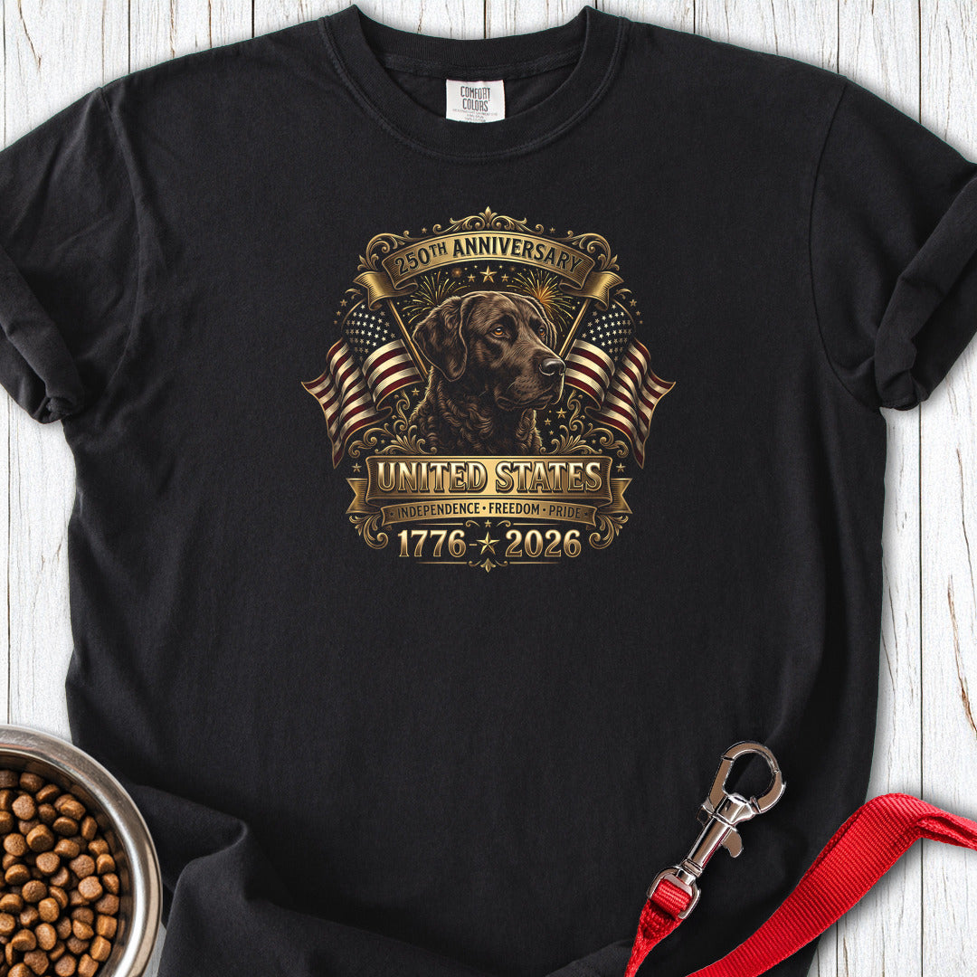 Chesapeake Bay Retriever USA Premium Tee — Black