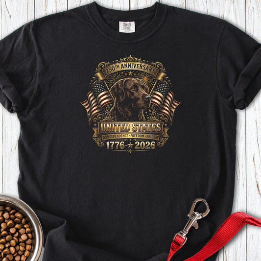 Chesapeake Bay Retriever USA Premium Tee — Black
