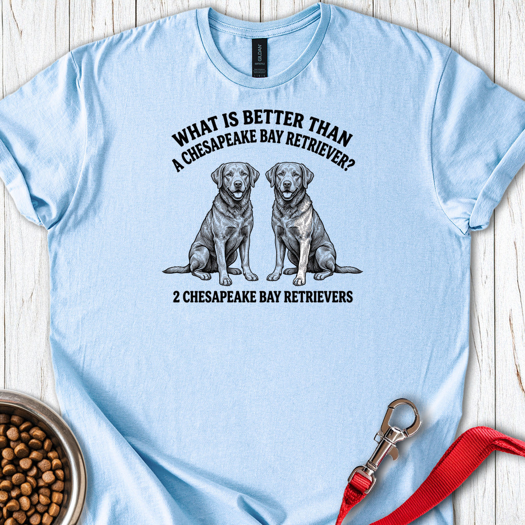 Chesapeake Bay Retriever What Is Better Than One — Light Blue