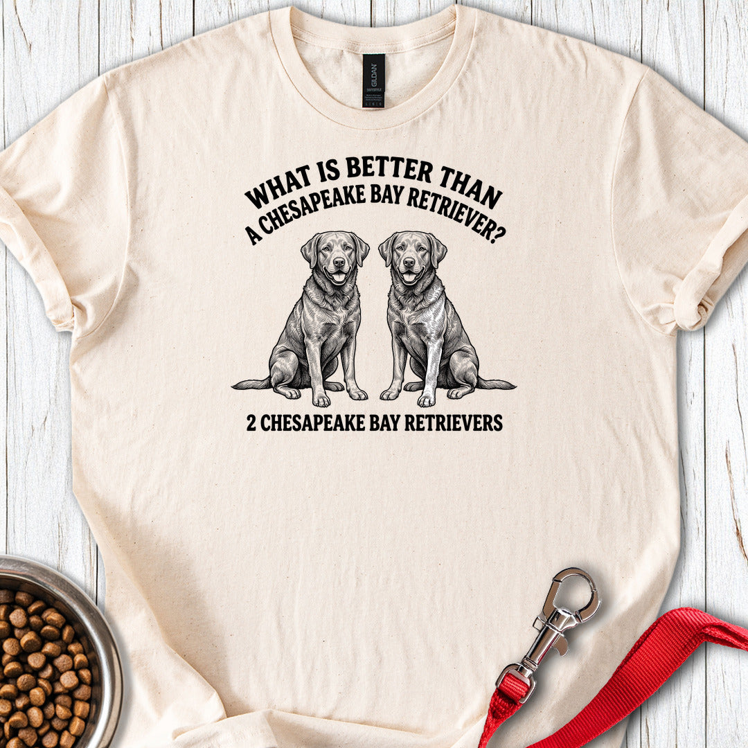 Chesapeake Bay Retriever What Is Better Than One — Natural