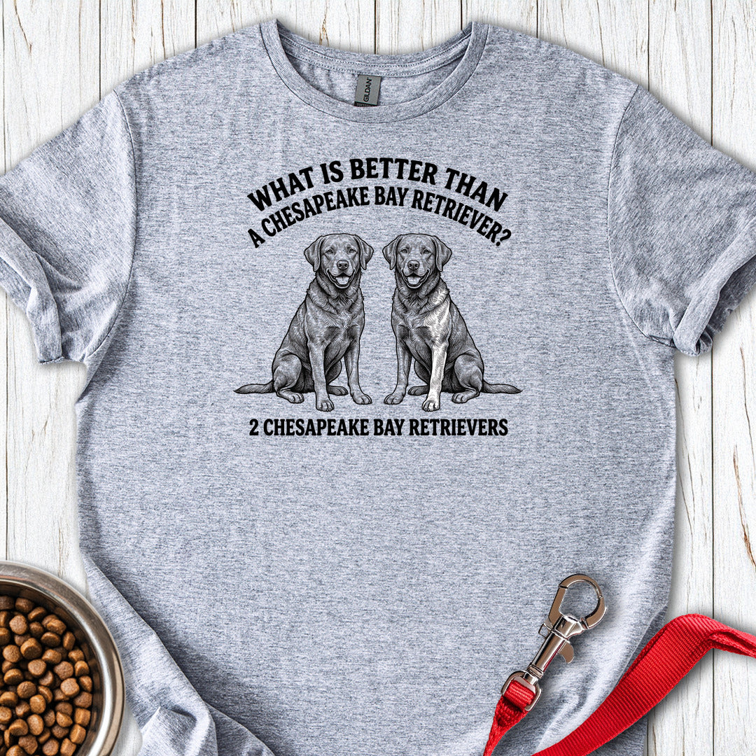 Chesapeake Bay Retriever What Is Better Than One — Sport Grey