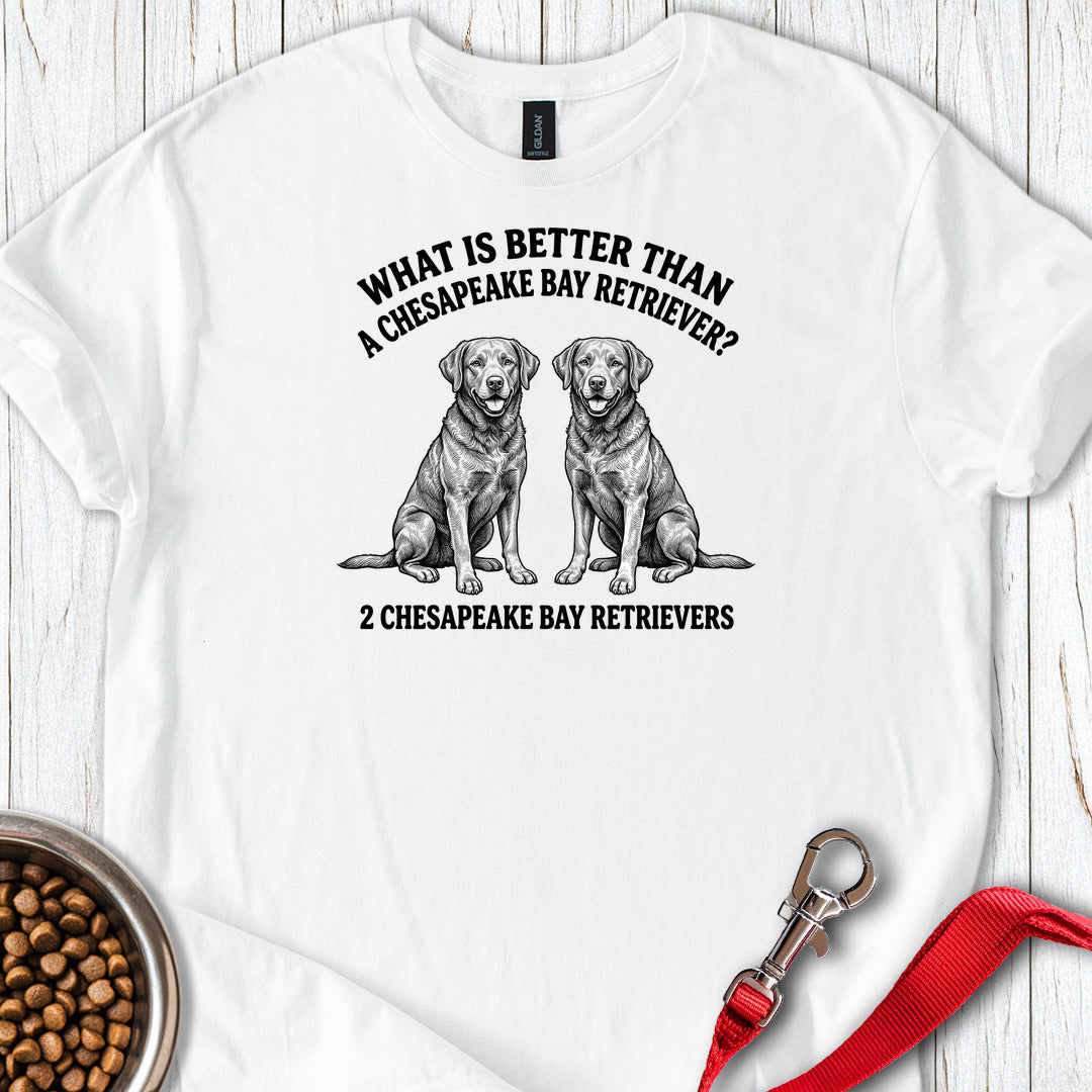 Chesapeake Bay Retriever What Is Better Than One — White