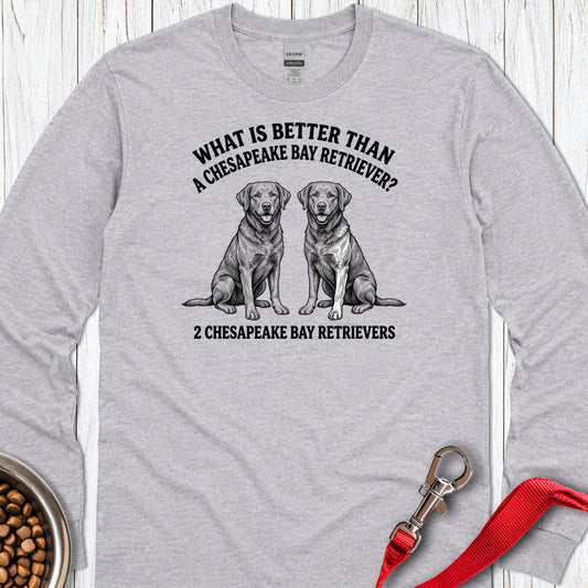 Chesapeake Bay Retriever What Is Better Than One Long Sleeve — Sport Grey