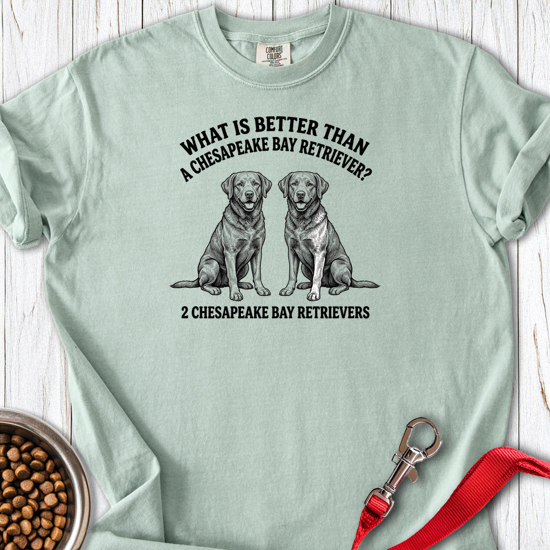 Chesapeake Bay Retriever What Is Better Than One Premium Tee — Bay