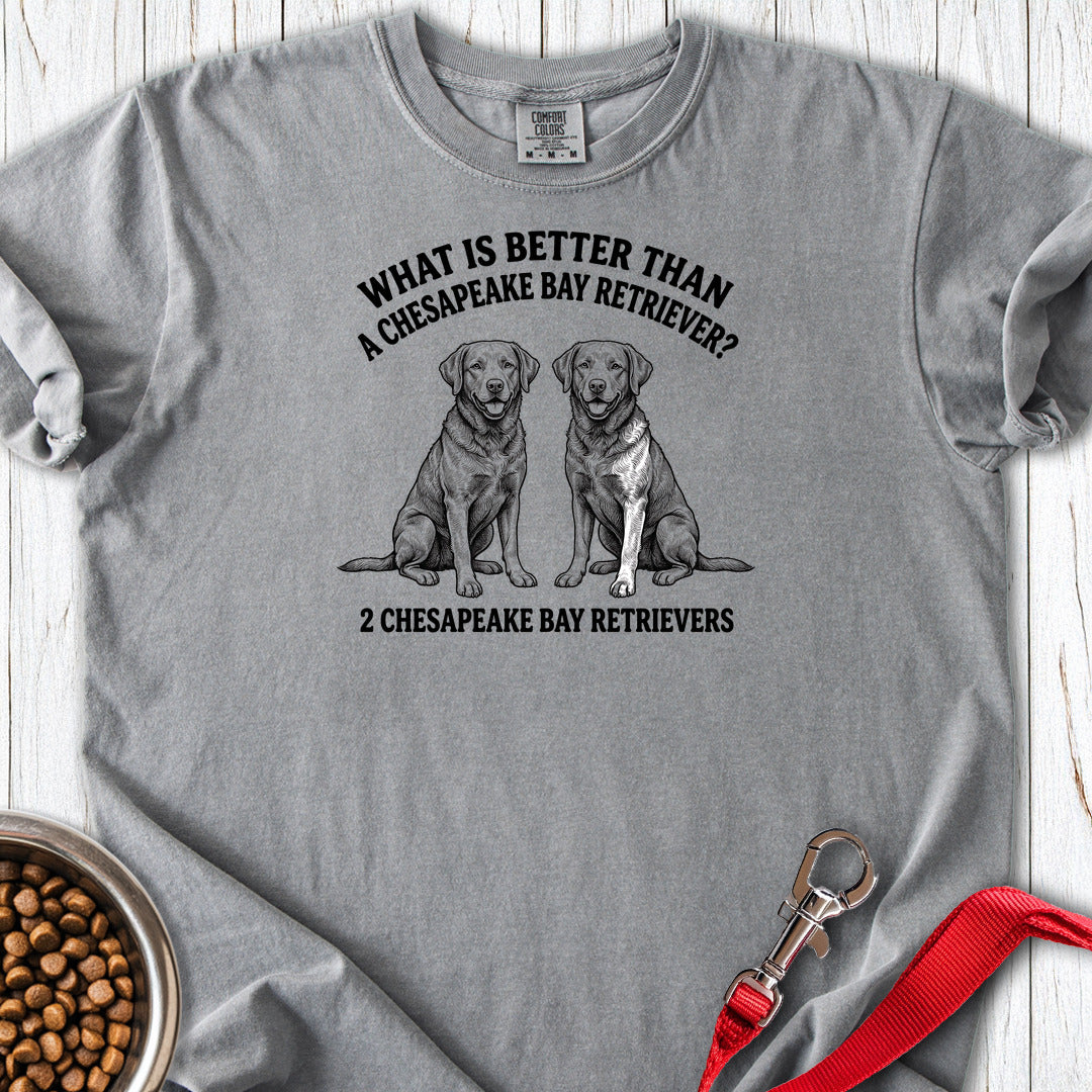 Chesapeake Bay Retriever What Is Better Than One Premium Tee — Grey