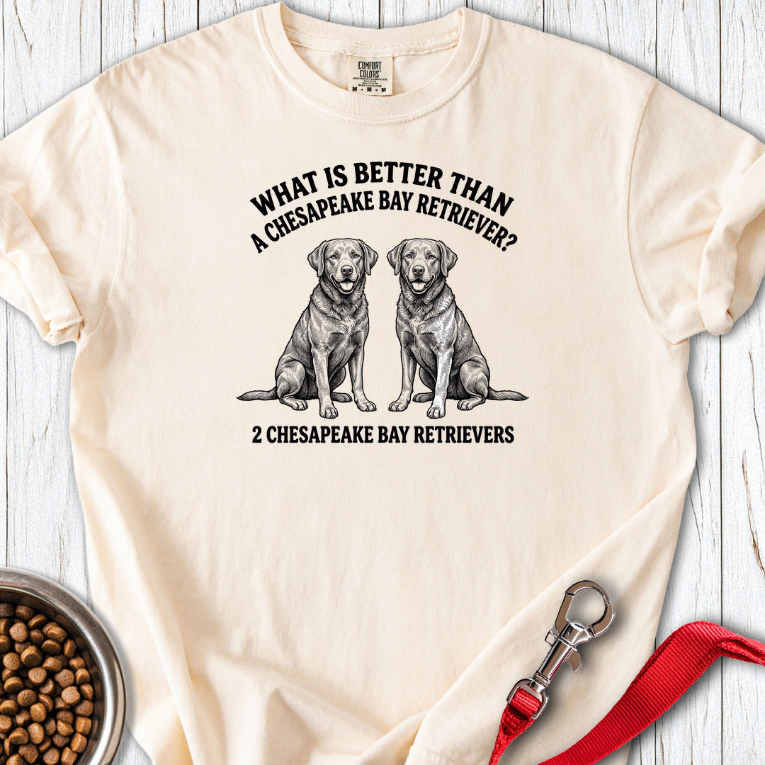 Chesapeake Bay Retriever What Is Better Than One Premium Tee — Ivory