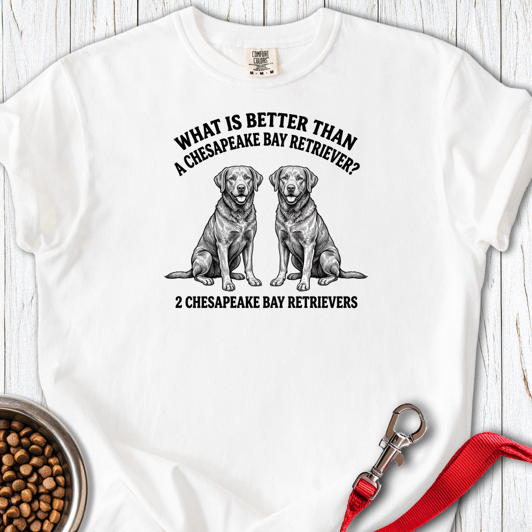 Chesapeake Bay Retriever What Is Better Than One Premium Tee — White