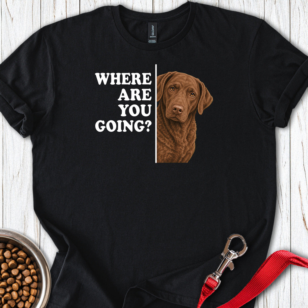 Chesapeake Bay Retriever Where Are You Going — Black
