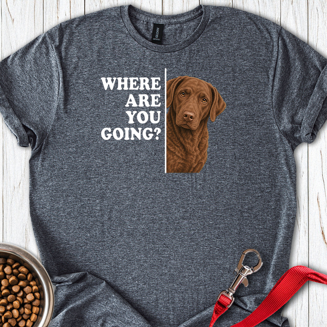 Chesapeake Bay Retriever Where Are You Going — Dark Heather