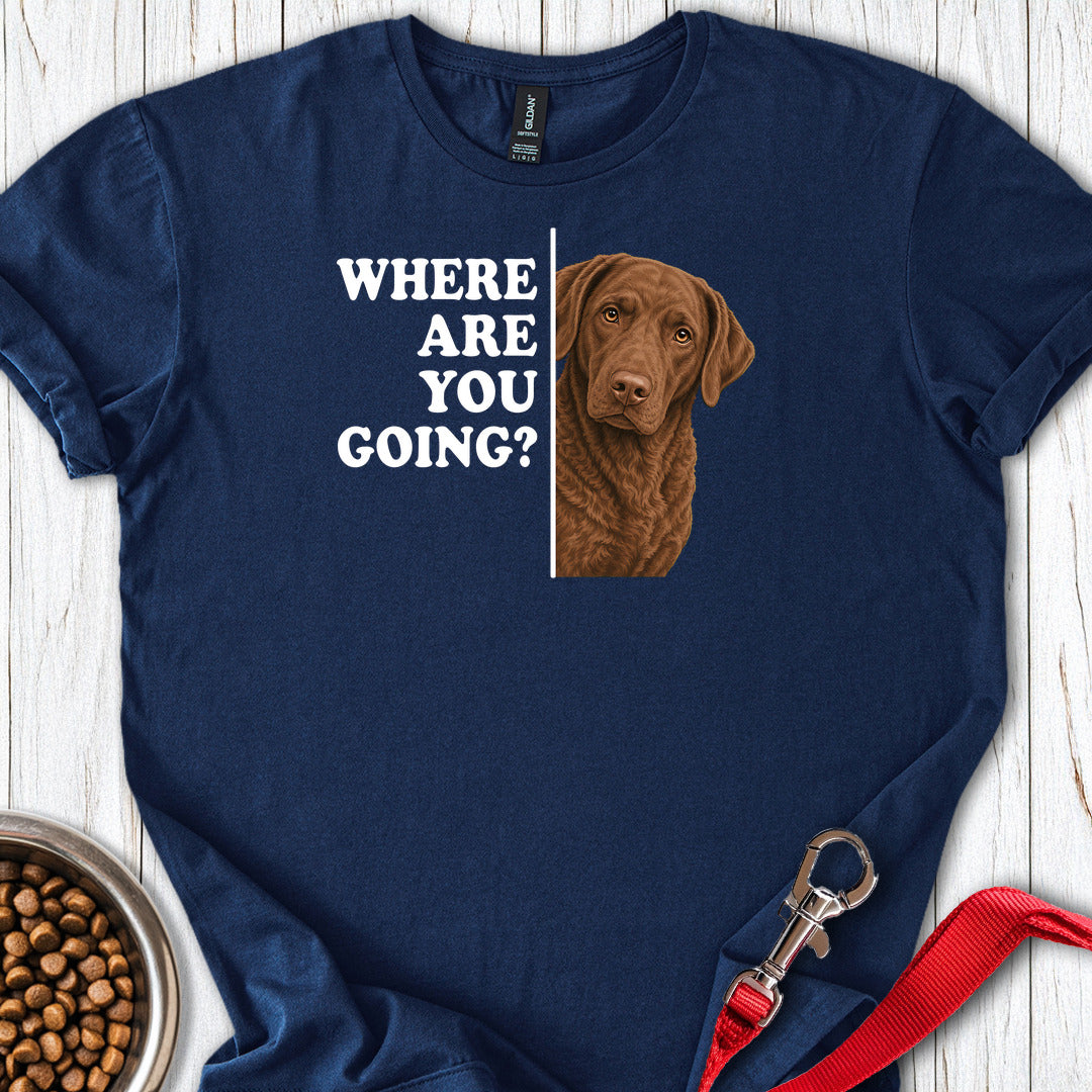 Chesapeake Bay Retriever Where Are You Going — Navy