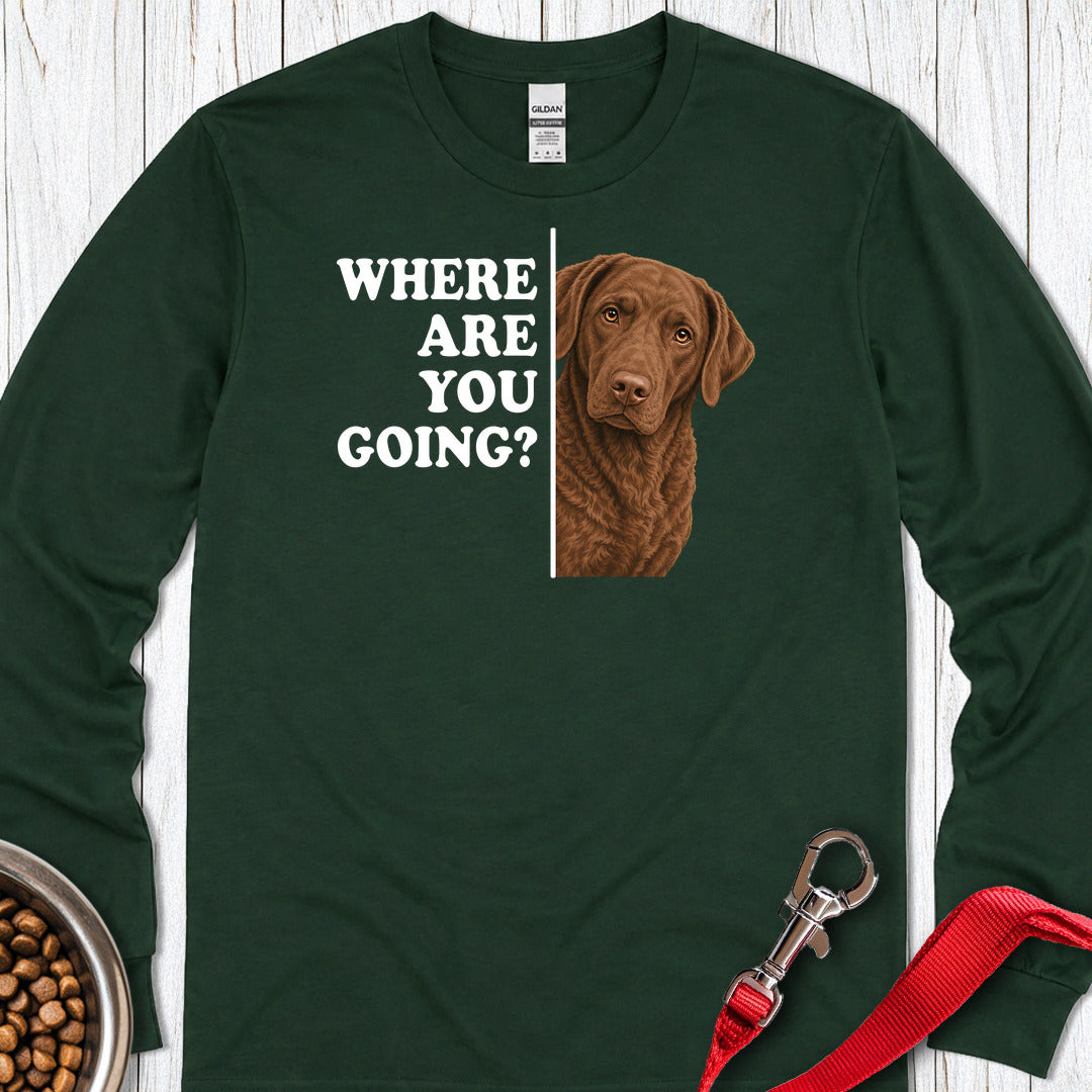 Chesapeake Bay Retriever Where Are You Going Long Sleeve — Forest Green