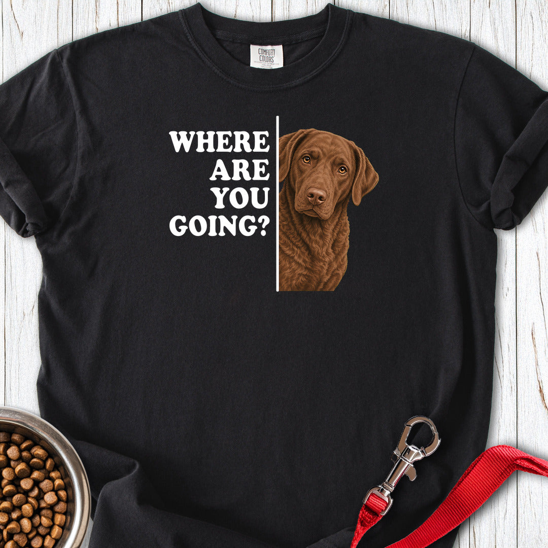 Chesapeake Bay Retriever Where Are You Going Premium Tee — Black