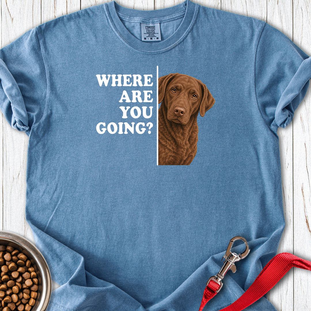 Chesapeake Bay Retriever Where Are You Going Premium Tee — Blue Jean