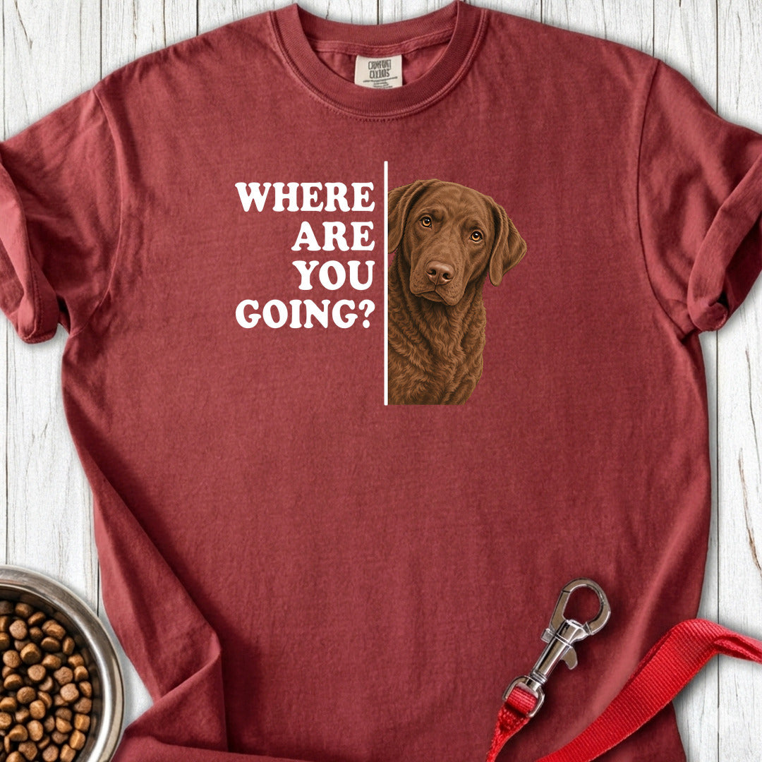 Chesapeake Bay Retriever Where Are You Going Premium Tee — Brick