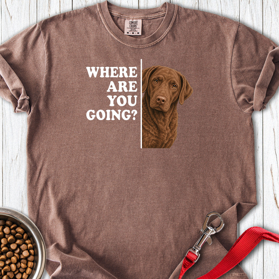 Chesapeake Bay Retriever Where Are You Going Premium Tee — Espresso