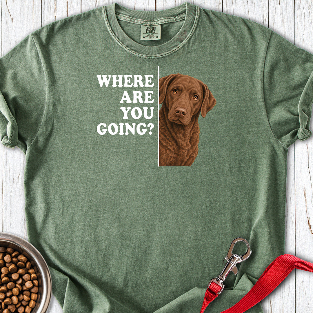 Chesapeake Bay Retriever Where Are You Going Premium Tee — Moss