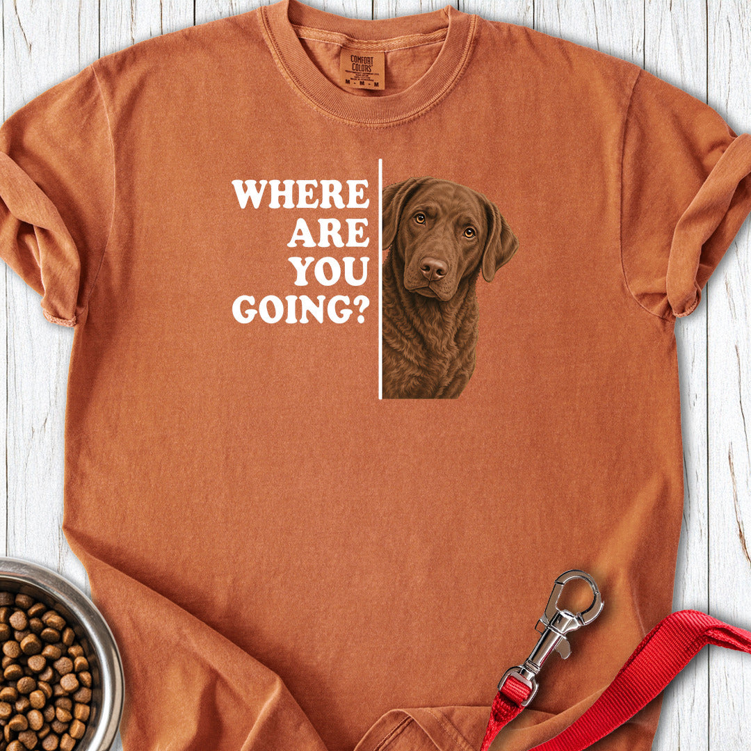 Chesapeake Bay Retriever Where Are You Going Premium Tee — Yam