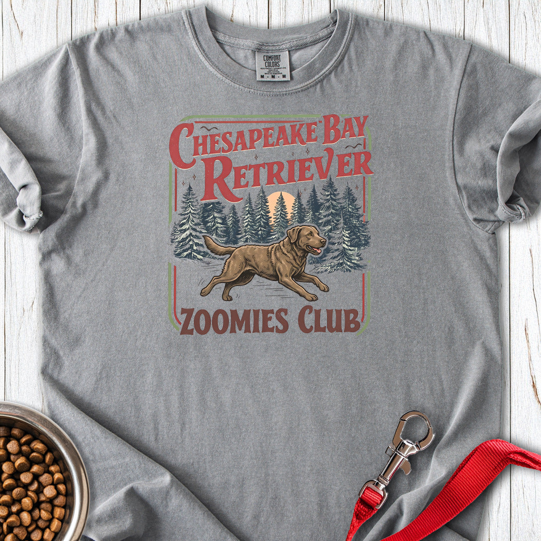Chesapeake Bay Retriever Zoomies Club Premium Tee — Grey