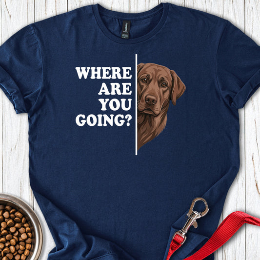 Chocolate Lab Following Navy