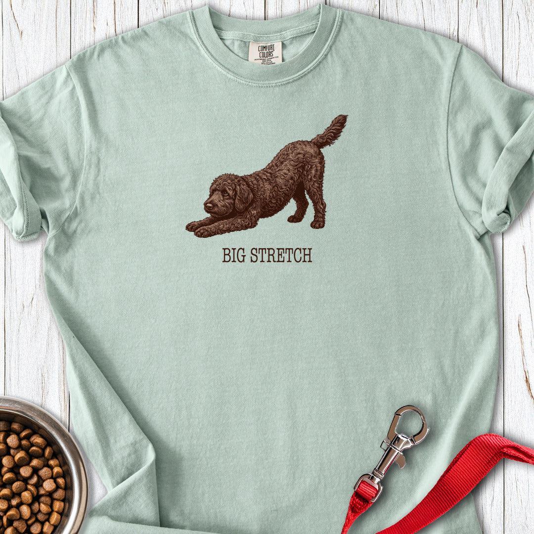Chocolate Labradoodle Big Stretch Premium Tee Bay