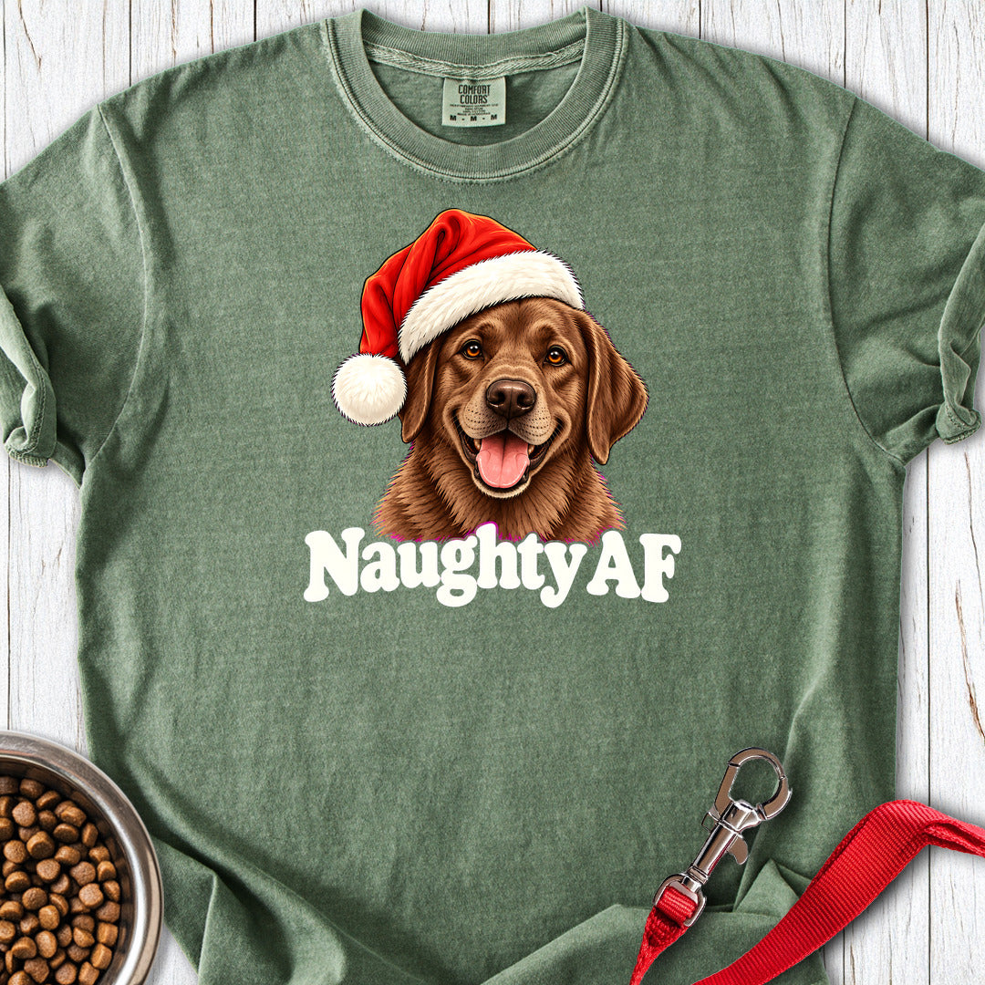 Chocolate Labrador Christmas Naughty Premium Tee Moss
