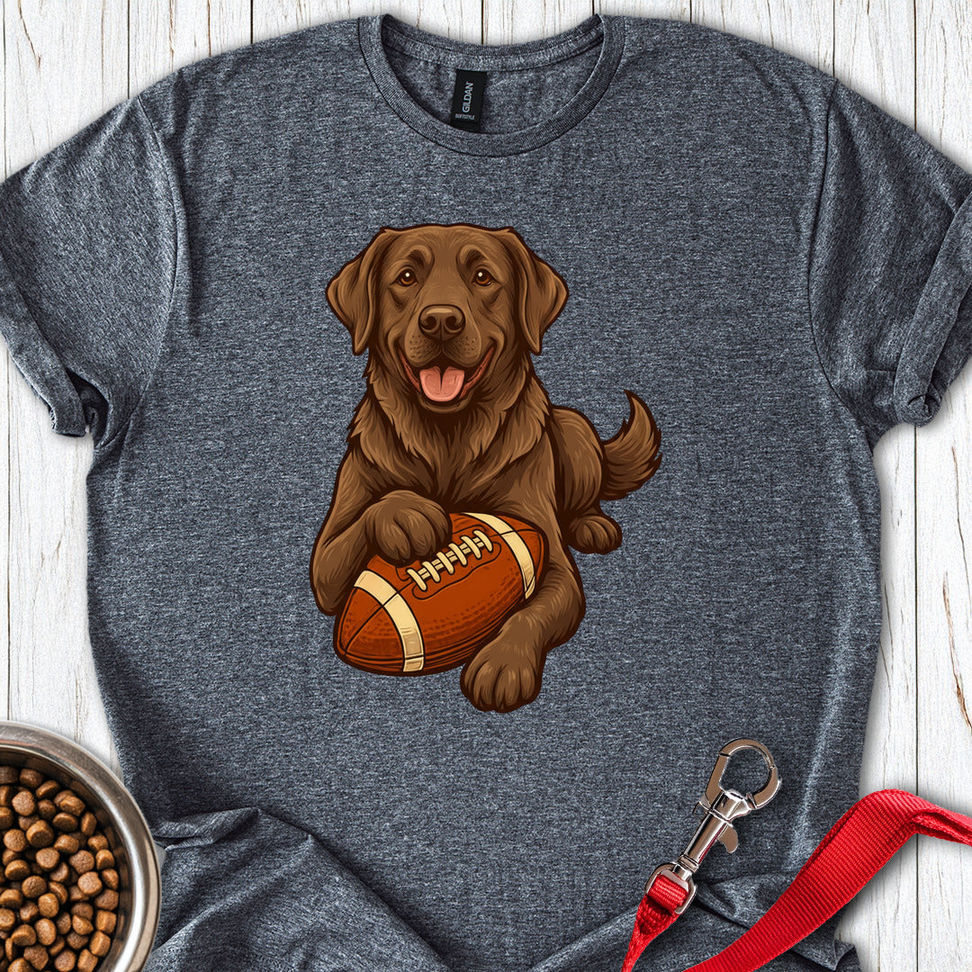 Chocolate Labrador Football Dark Heather