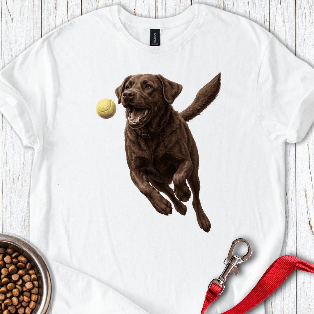 Chocolate Labrador Running White