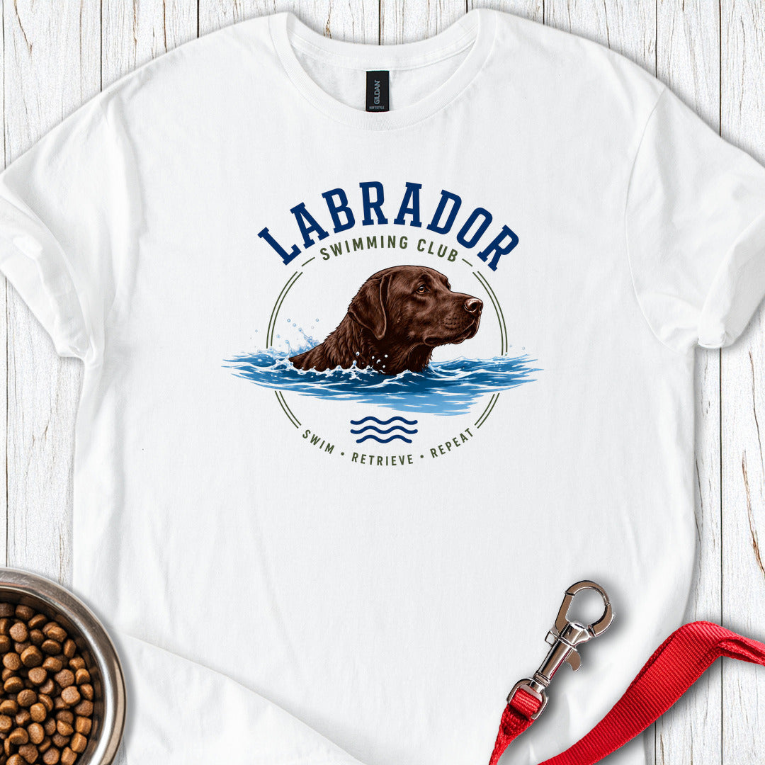 Chocolate Labrador Swimming White