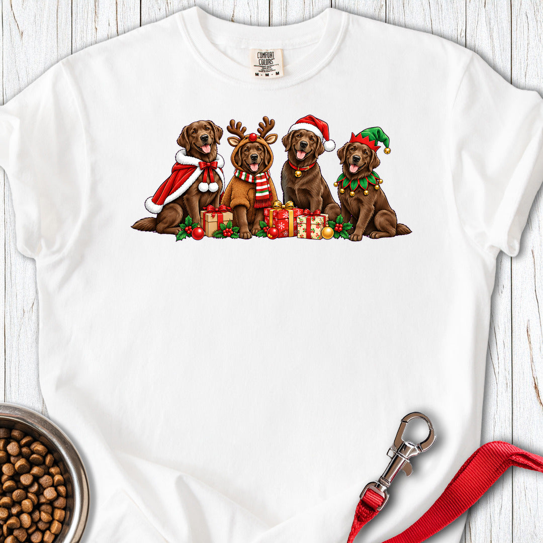 Chocolate Labradors Group Christmas Premium Tee White