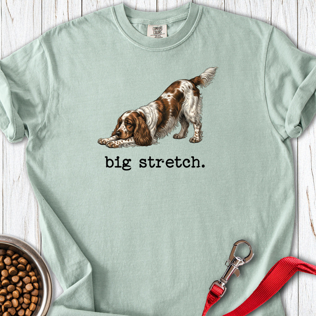 Cocker Spaniel Big Stretch Premium Tee — Bay