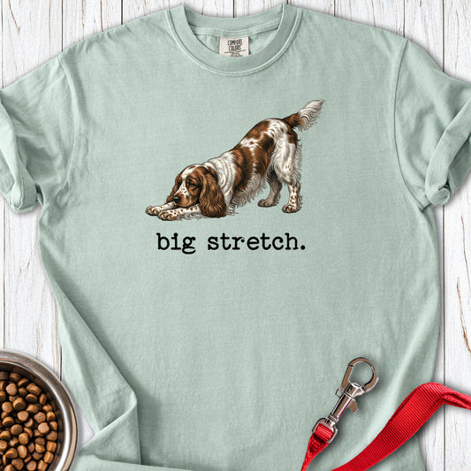 Cocker Spaniel Big Stretch Premium Tee Bay