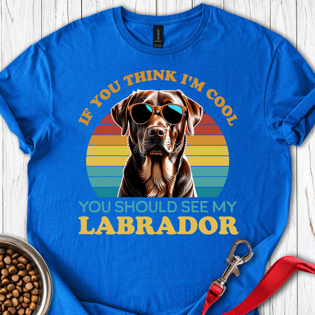 Cool Brown Labrador Royal