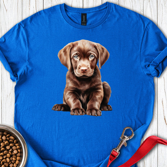 Cute Chocolate Labrador Puppy Royal