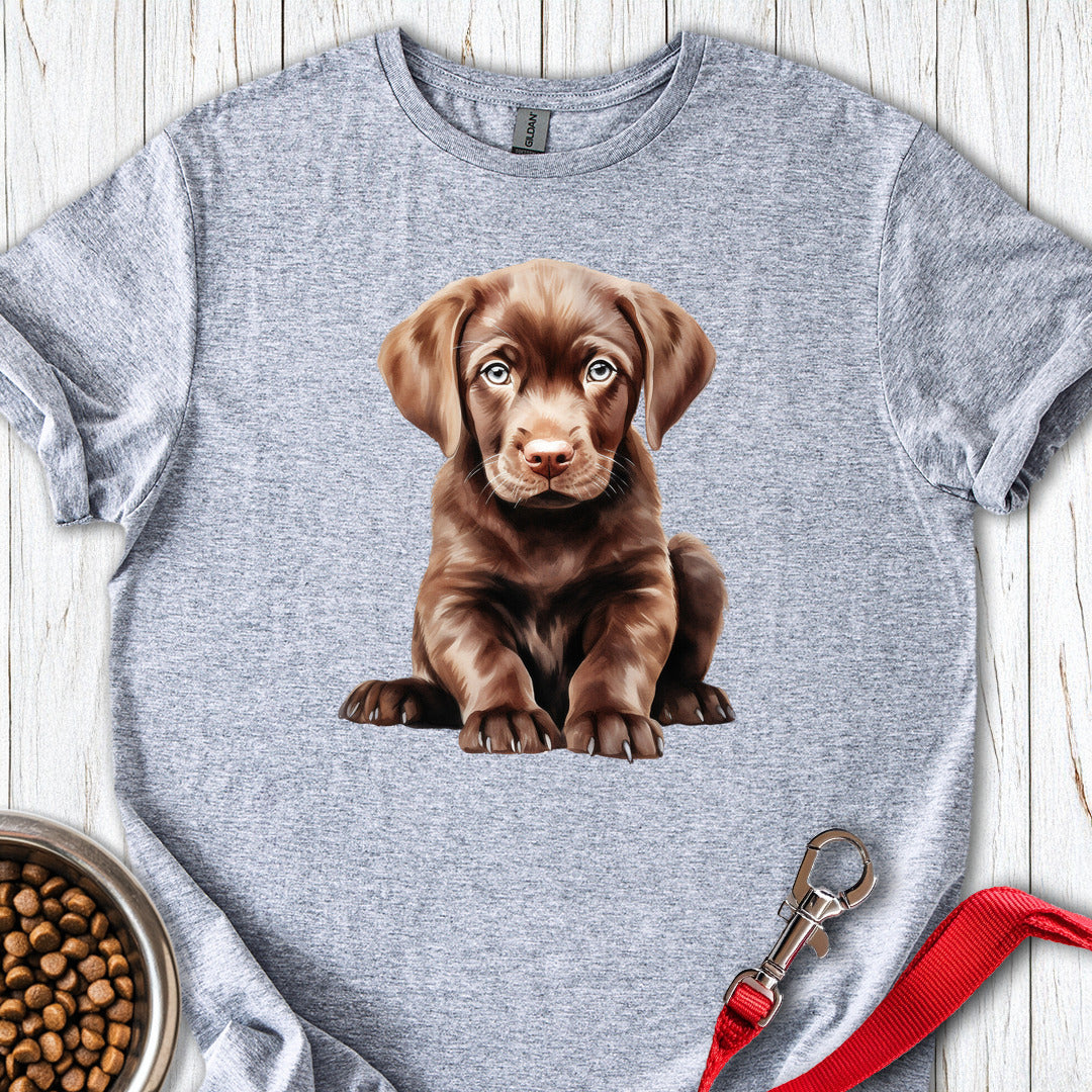 Cute Chocolate Labrador Puppy Sport Grey