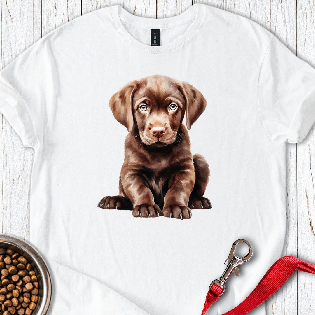 Cute Chocolate Labrador Puppy White