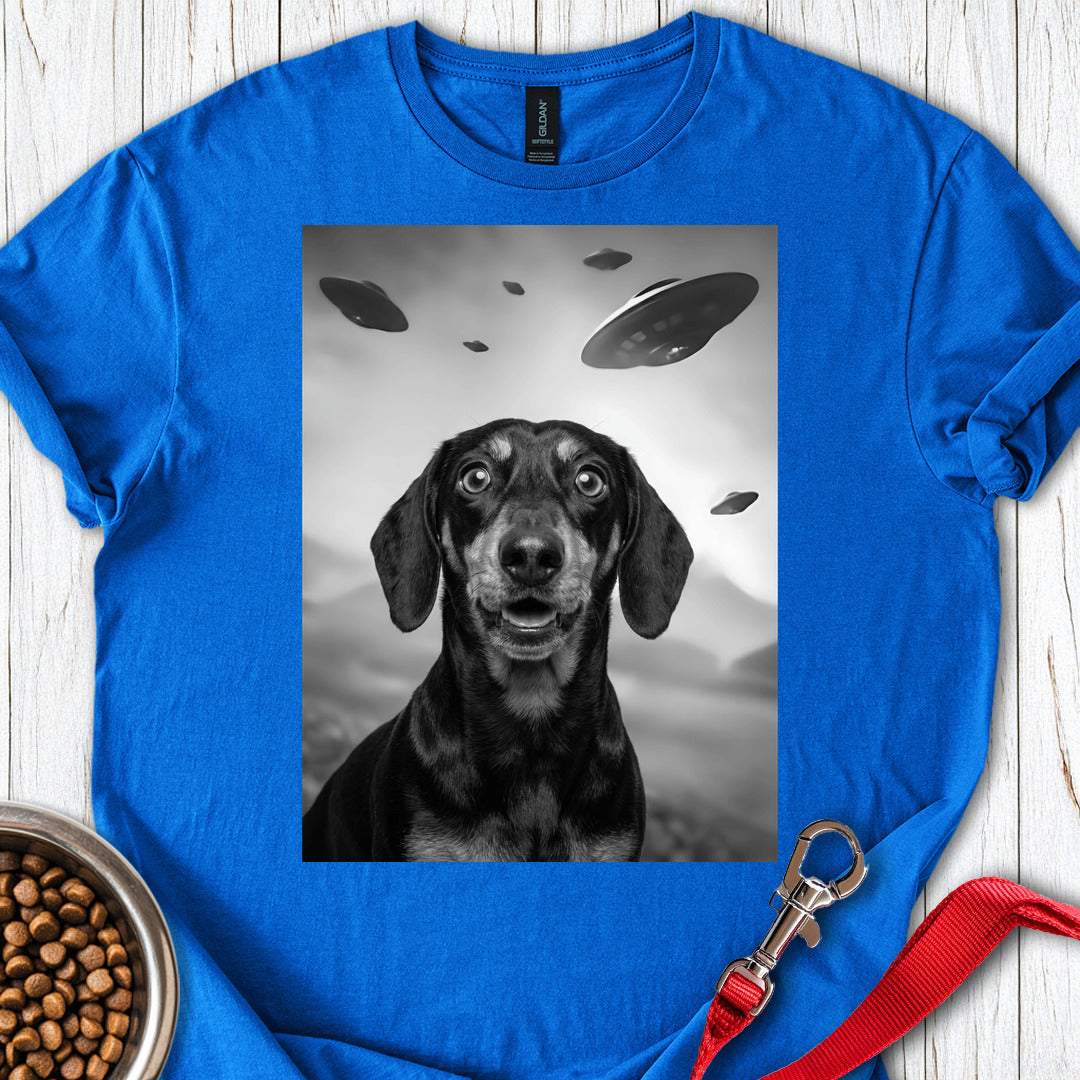 Dachshund UFO Royal